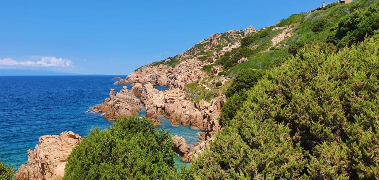 Appartamento Le Pleiadi Costa Paradiso Bagian luar foto
